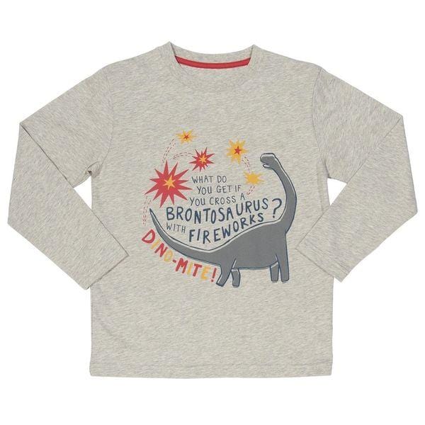 Dino-mite Boys T-Shirt